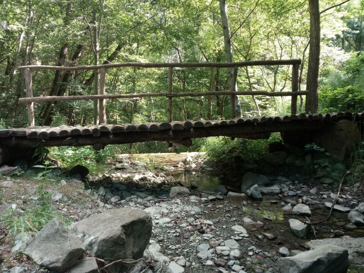 Agriturismo Rio Ricco Busana 외부 사진