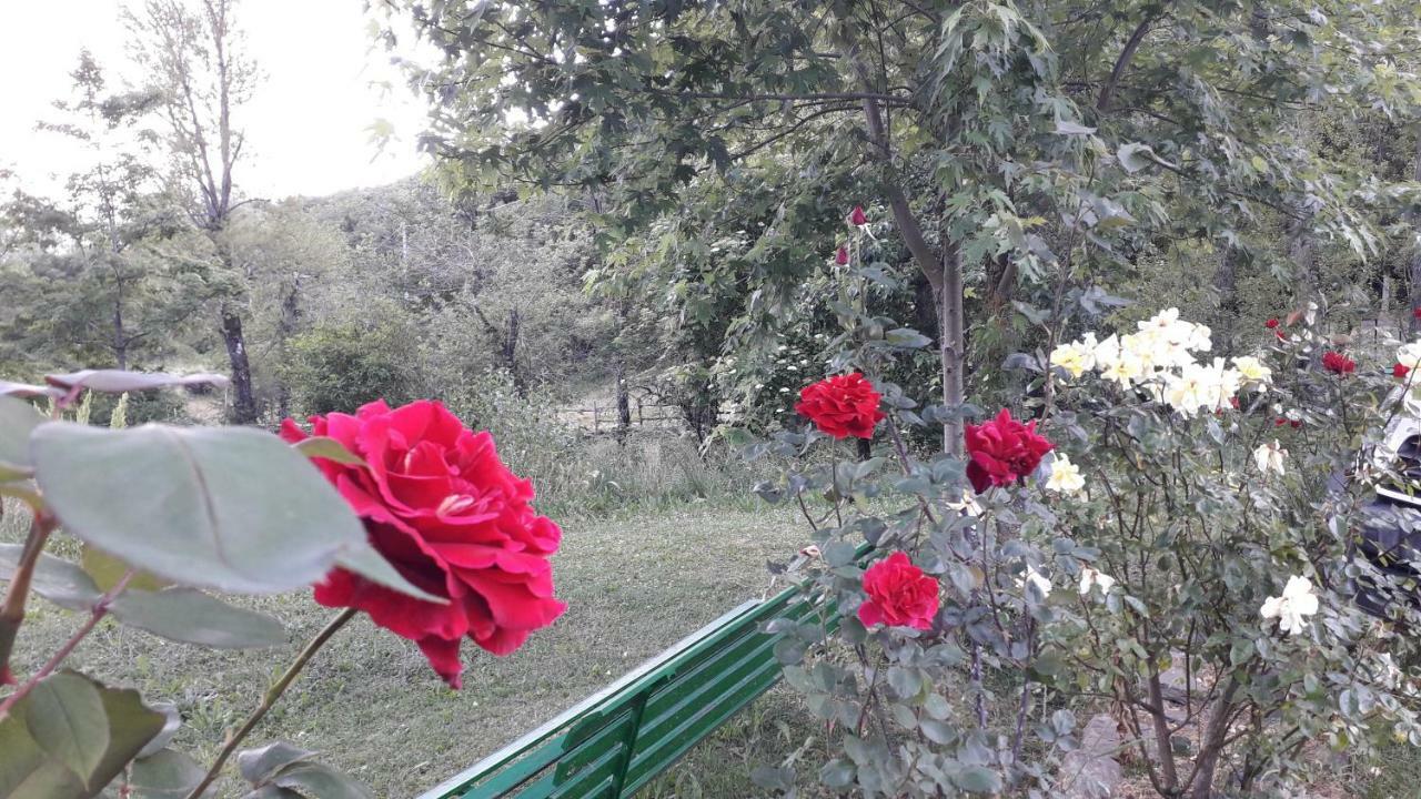 Agriturismo Rio Ricco Busana 외부 사진